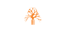 Inkinn - Tattoo Studio