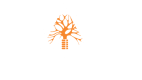 Inkinn Tattoo Studio